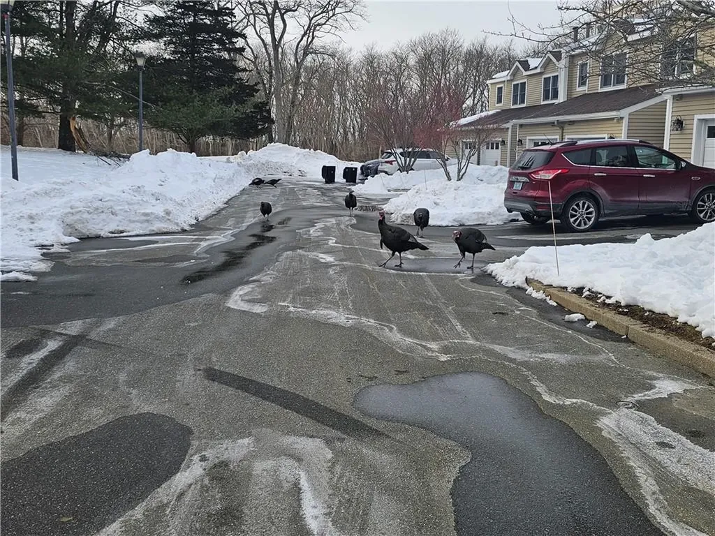 37 Lawton Brook Lane Portsmouth RI 02871