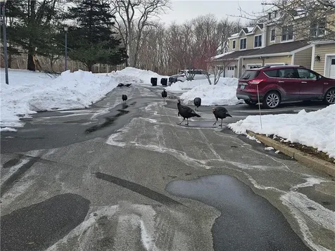 37 Lawton Brook Lane Portsmouth RI 02871