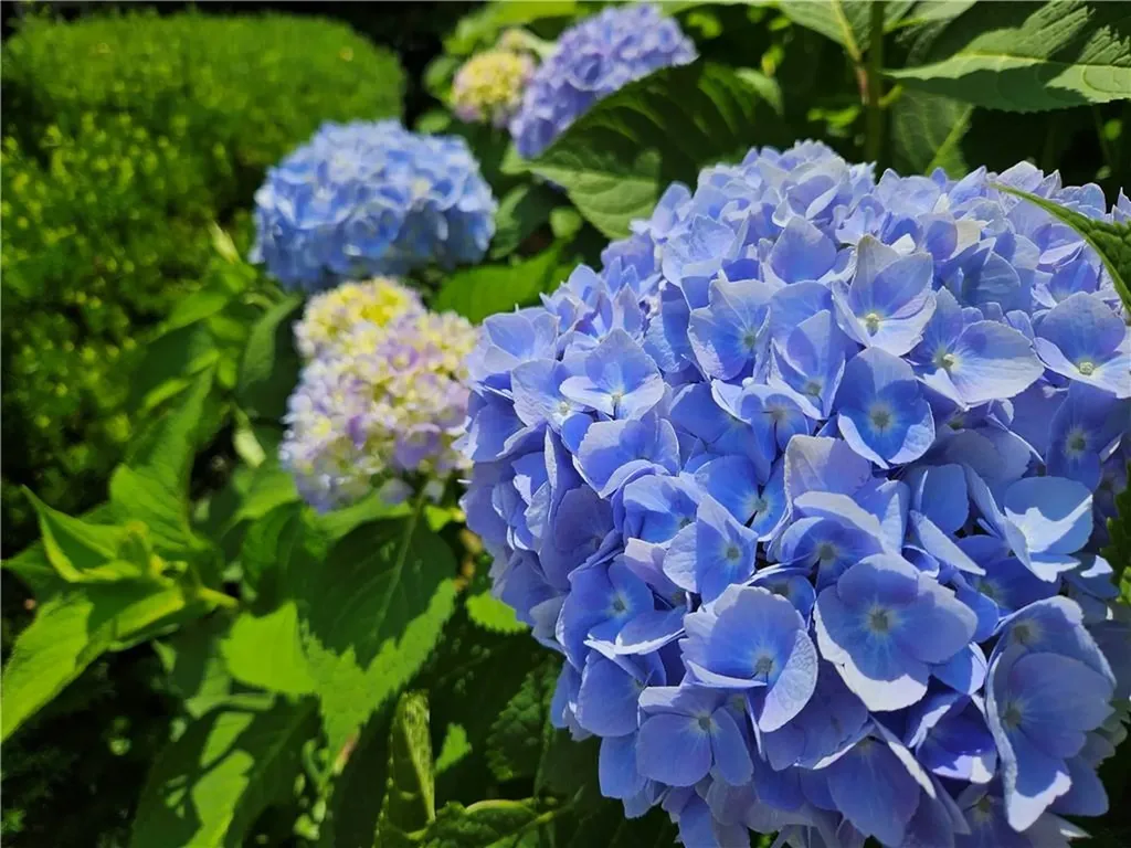 57 Delway Road Cranston RI 02910