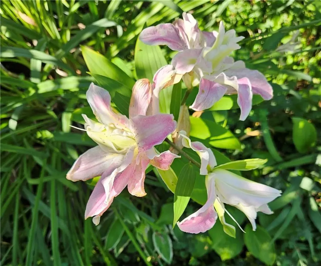 57 Delway Road Cranston RI 02910