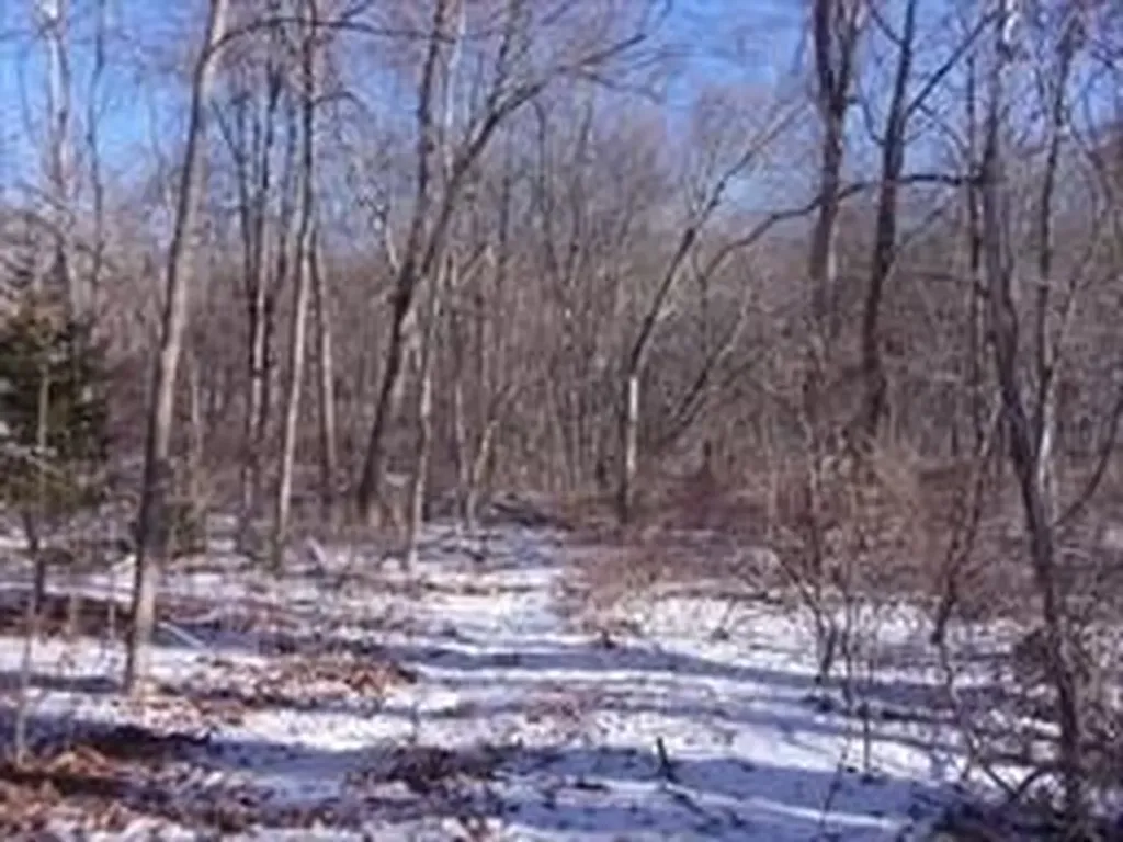 90 Chestnut Hill Road Millville MA 02529