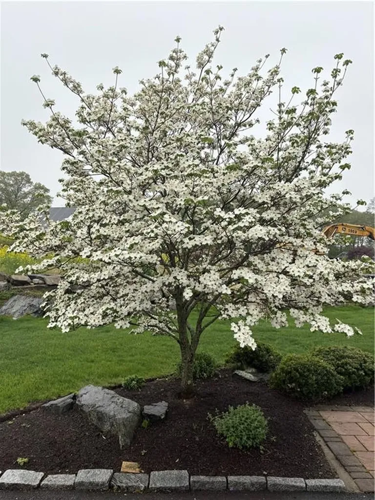33 Abatecola Way Johnston RI 02919