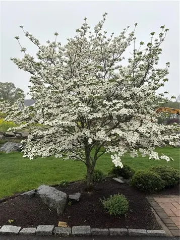 33 Abatecola Way Johnston RI 02919