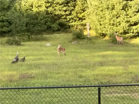 94 Susan Bowen Road Coventry RI 02827