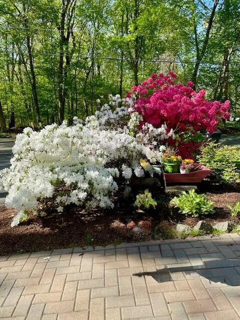 219 Brian Drive Warwick RI 02886