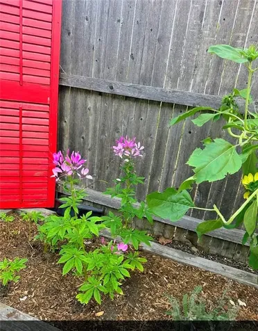 52 Inez Avenue Warwick RI 02886