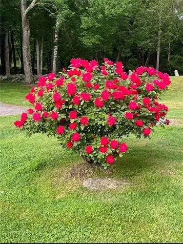 18 Shady Brook Cove Road Johnston RI 02919