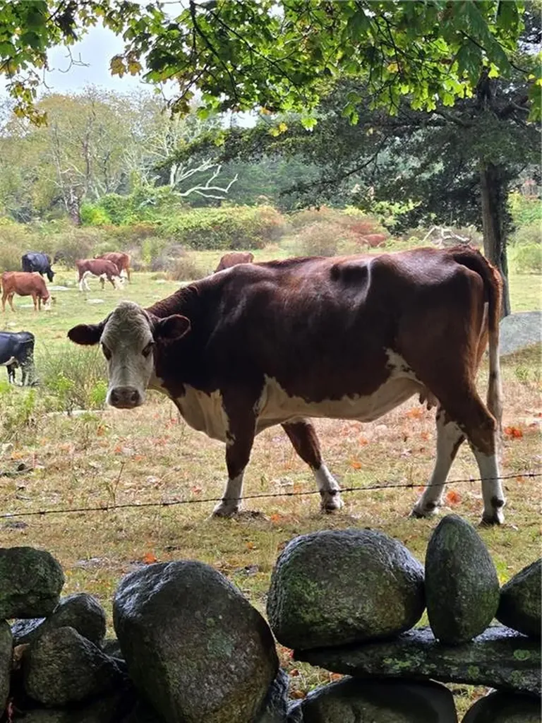 380 Camp Fuller Road South Kingstown RI 02879