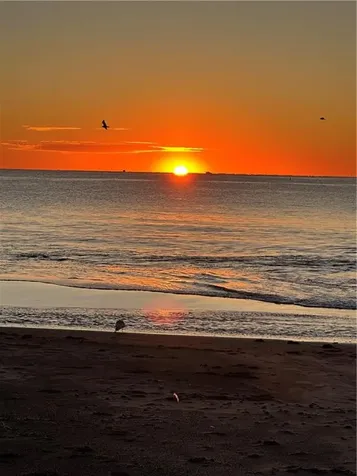 813 Ocean Road Narragansett RI 02882