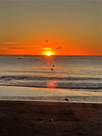 813 Ocean Road Narragansett RI 02882