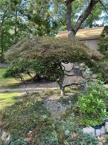 6 Blue Spruce Drive Coventry RI 02816