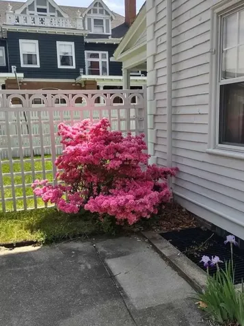 36 Underwood Street Pawtucket RI 02860