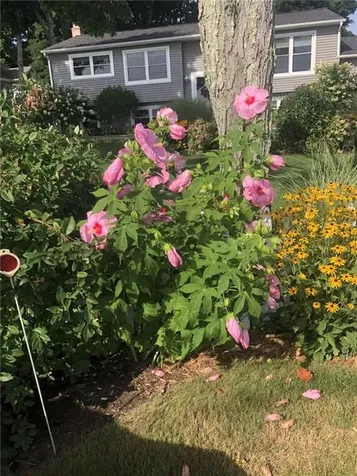 9 Bay Road Warren RI 02885