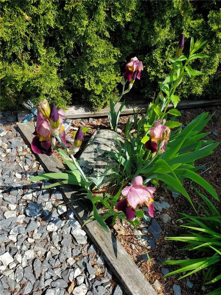 39 Holiday Avenue Warwick RI 02888