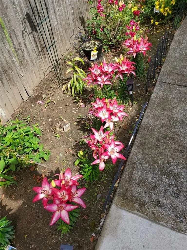 39 Holiday Avenue Warwick RI 02888