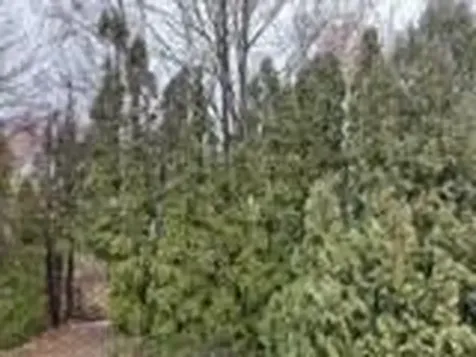 351 County Road Barrington RI 02806