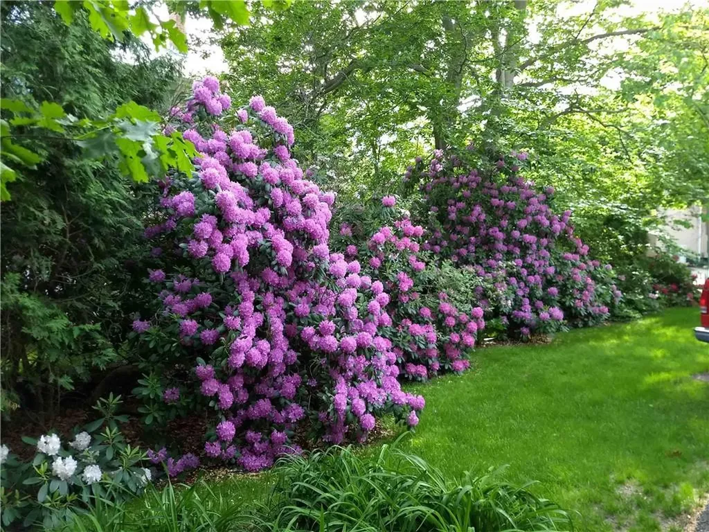 227 Irving Avenue Providence RI 02906