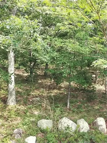 2 Miranda Drive Richmond RI 02892