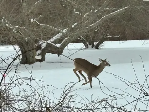 50 Reposa Square Portsmouth RI 02871