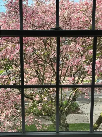 198 Chace Avenue Providence RI 02906