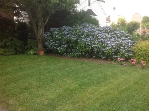 198 Chace Avenue Providence RI 02906