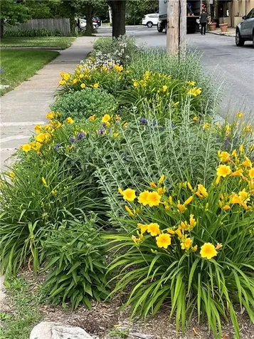 198 Chace Avenue Providence RI 02906