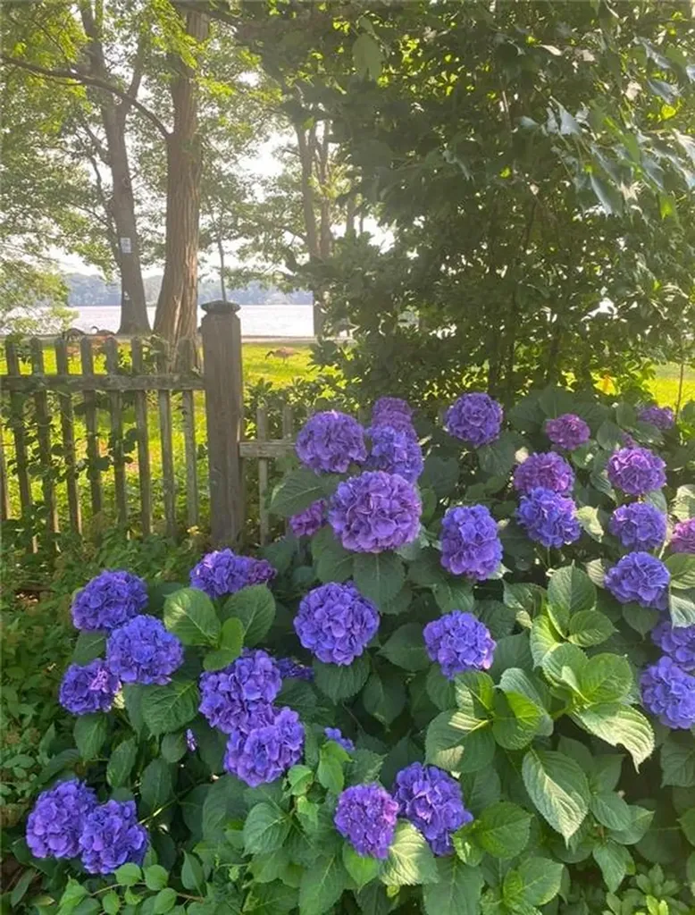 16 Joy Street Barrington RI 02806