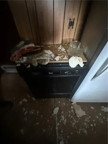 31 Elton Avenue Warwick RI 02889