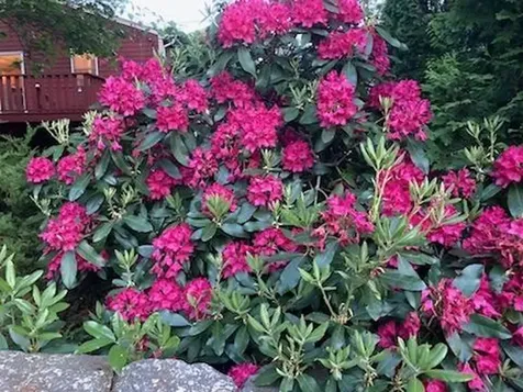 29 Wake Robin Trail Narragansett RI 02874