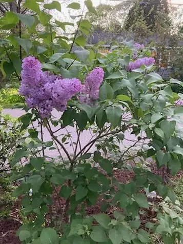 29 Wake Robin Trail Narragansett RI 02874