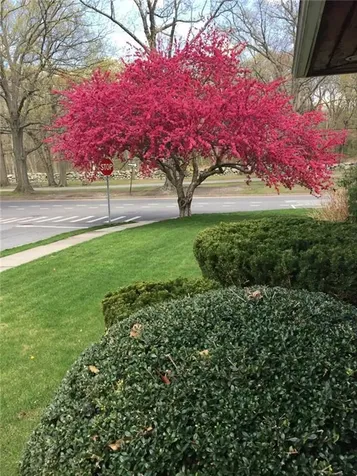 670 Blackstone Boulevard Providence RI 02906