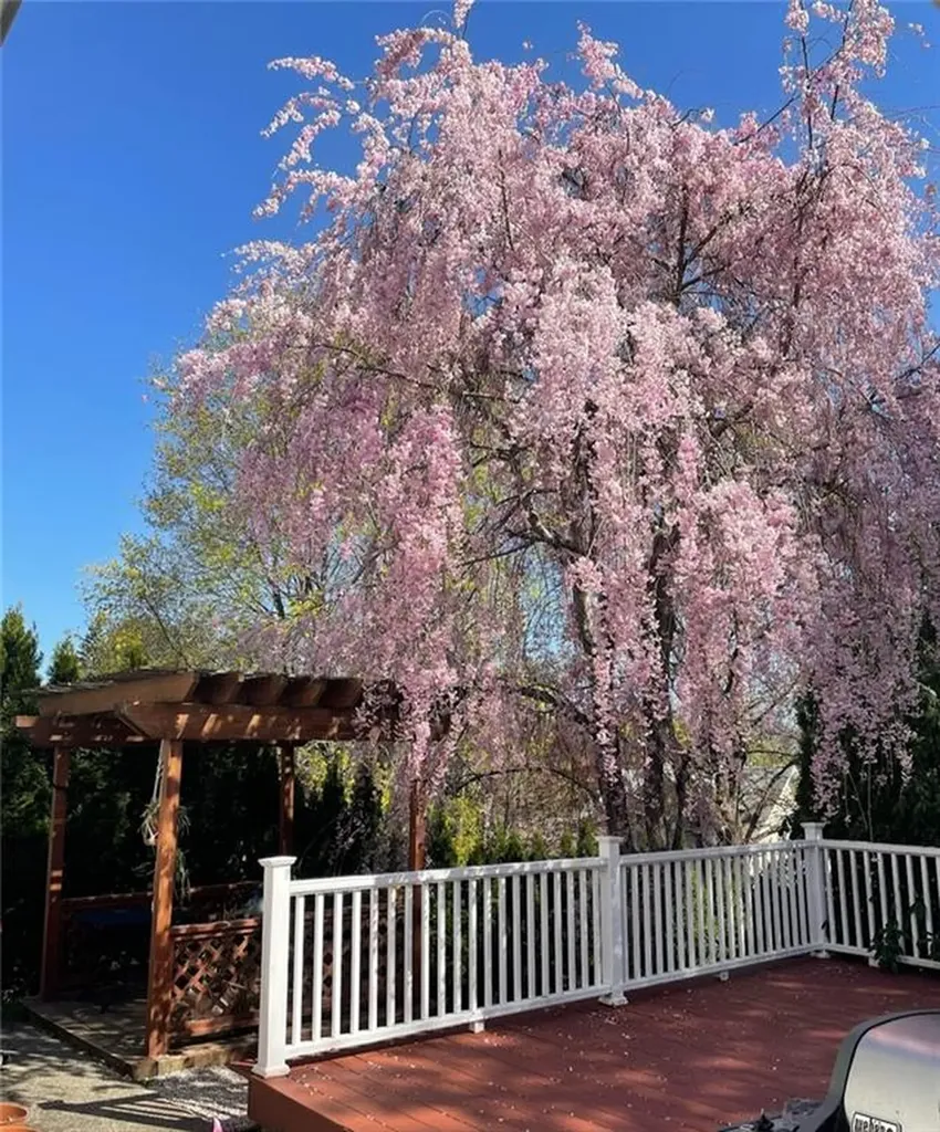15 Fairmount Avenue Lincoln RI 02865