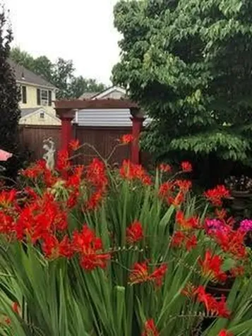 50 Betsey Williams Drive Cranston RI 02905