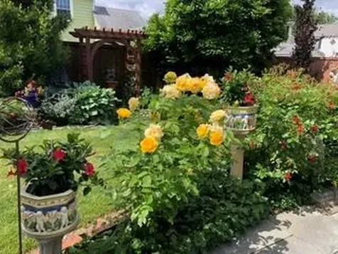 50 Betsey Williams Drive Cranston RI 02905