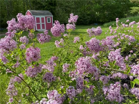 32 Francis Street Rehoboth MA 02769