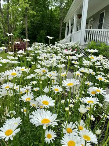 32 Francis Street Rehoboth MA 02769