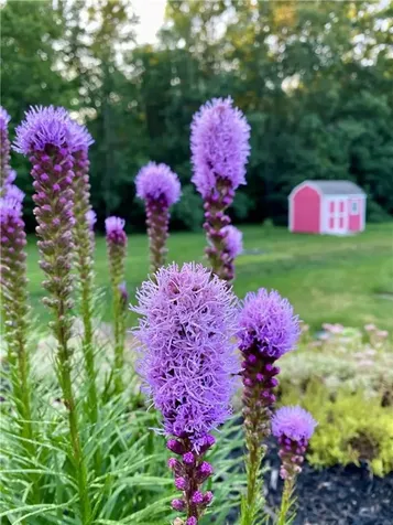 32 Francis Street Rehoboth MA 02769