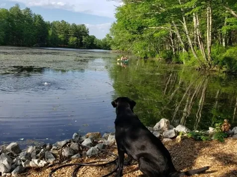 321 Greenville Road North Smithfield RI 02896