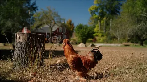 6196 Flat River Road Coventry RI 02827