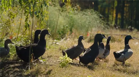 6196 Flat River Road Coventry RI 02827