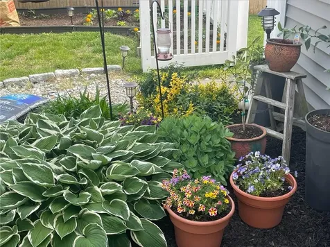 27 Primrose Drive East Providence RI 02915