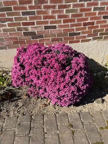 68 Canning Street Cumberland RI 02864