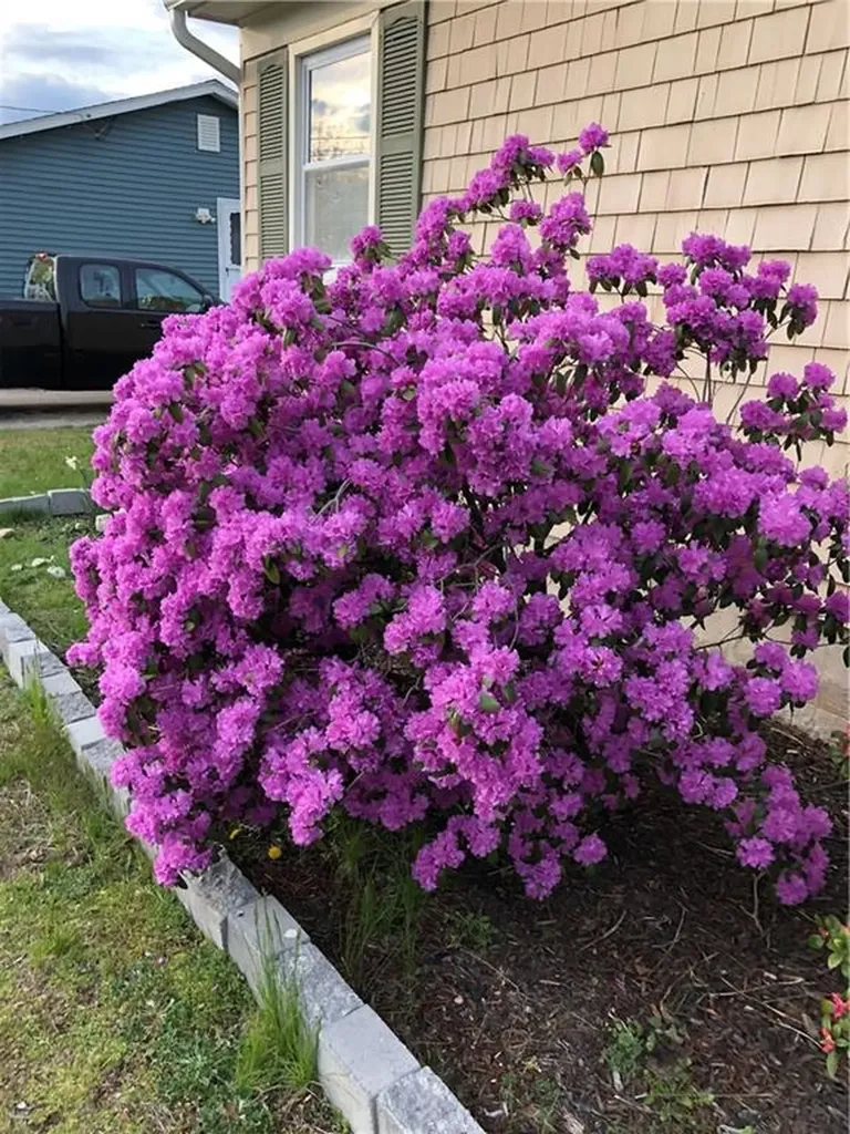 66 Collingwood Drive Warwick RI 02886