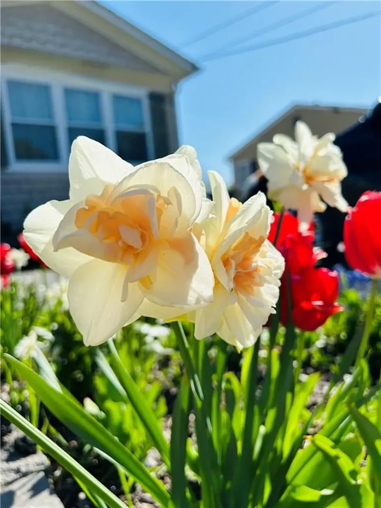 66 Collingwood Drive Warwick RI 02886