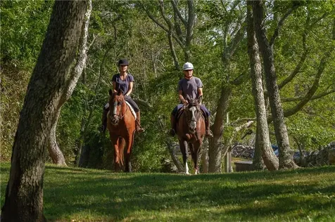 1501 Beacon Hill Road Block Island RI 02807