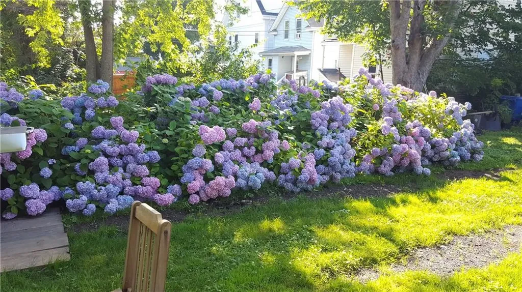 52 Constitution Street Bristol RI 02809