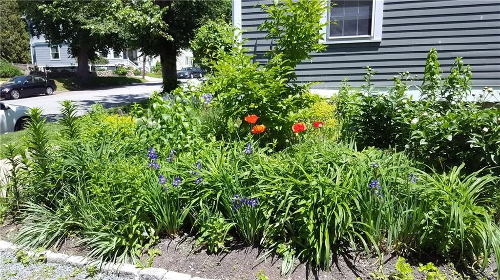 52 Constitution Street Bristol RI 02809