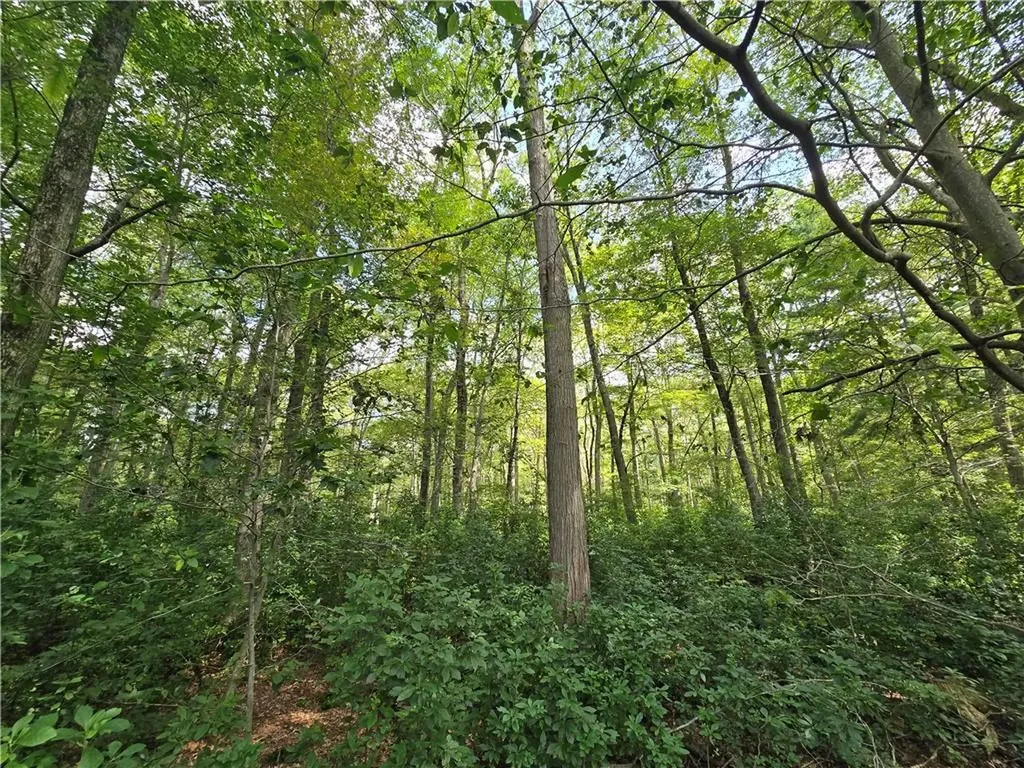103 South Killingly Road Foster RI 02825