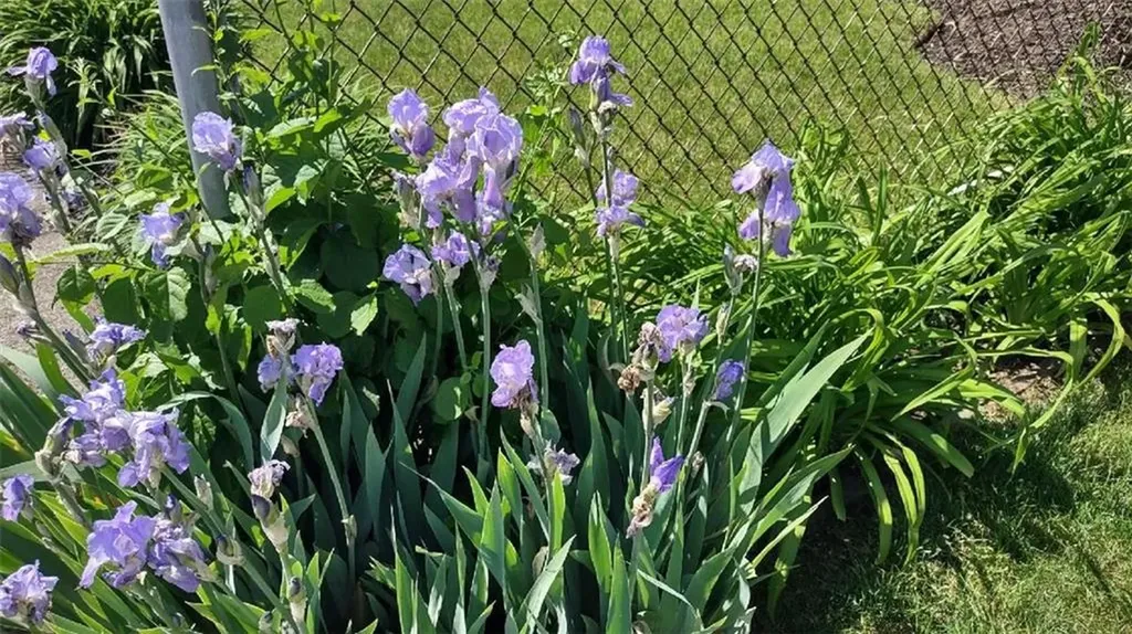 46 Bliss Street East Providence RI 02914