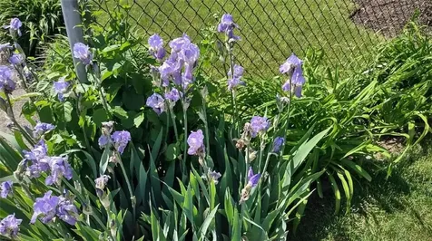 46 Bliss Street East Providence RI 02914